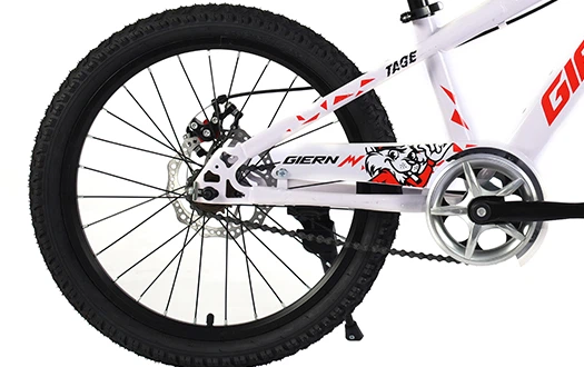 derailleur derailleur