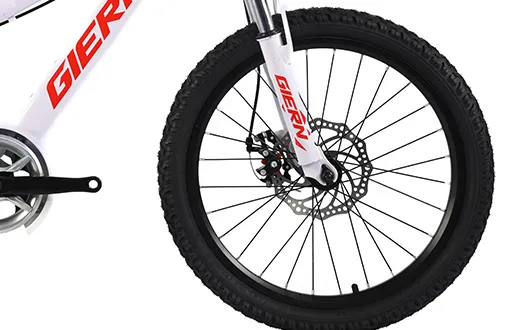 double disc brake double disc brake