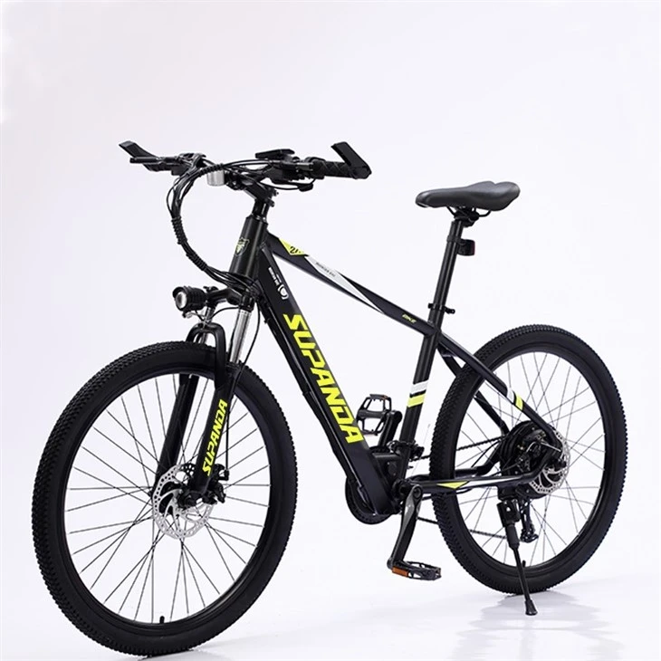 29 Inch E Mountain Bike