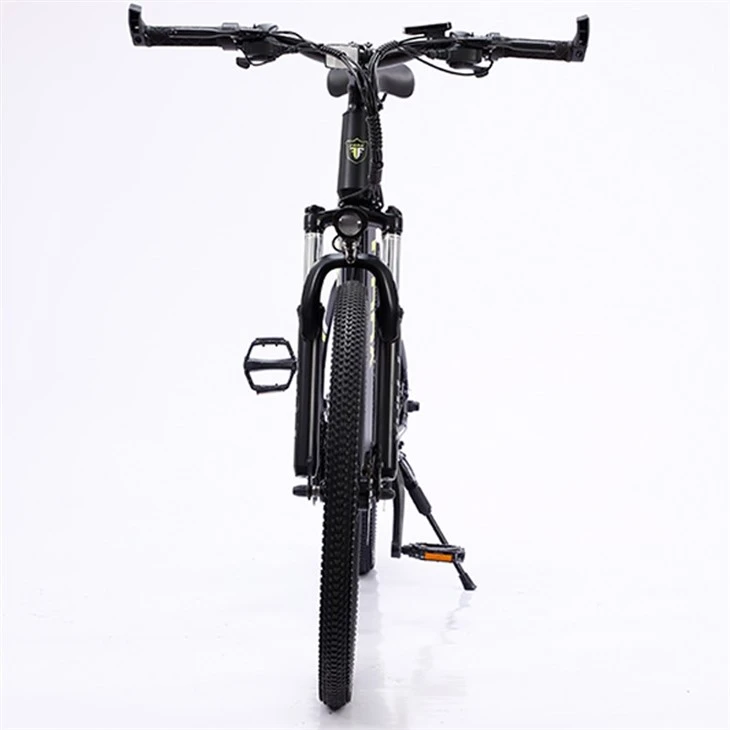 29 Inch E Mountain Bike