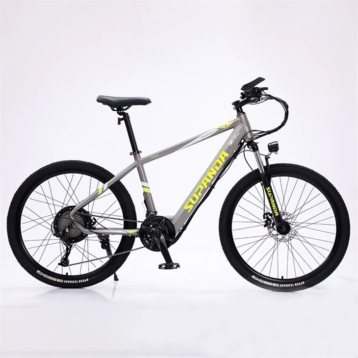 29 Inch E Mountain Bike