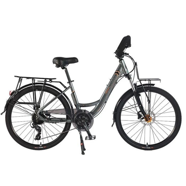 Electric City Bike