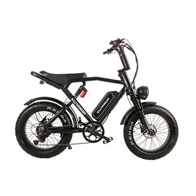 Električno kolo Fat Tire