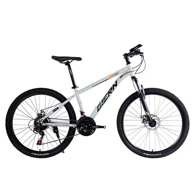 Steel Frame Hardtail Mtb
