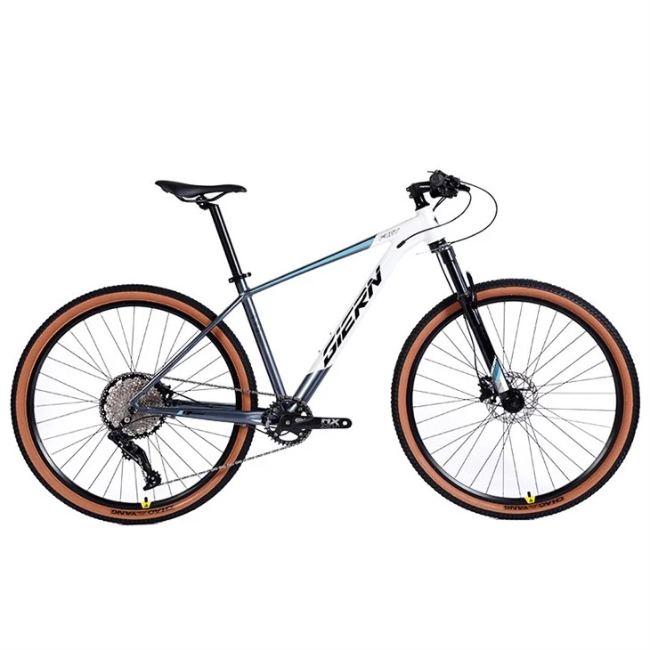 Xc Bike Hardtail