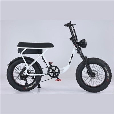 Double Crown Ebike